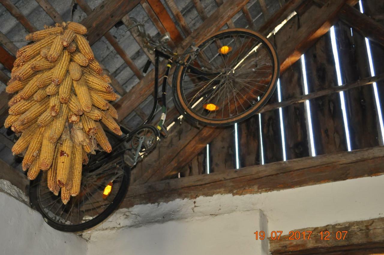 Appartmenthaus Josefikeller Podersdorf am See Bagian luar foto